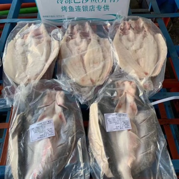 越南进口开背巴沙鱼，全规格现货