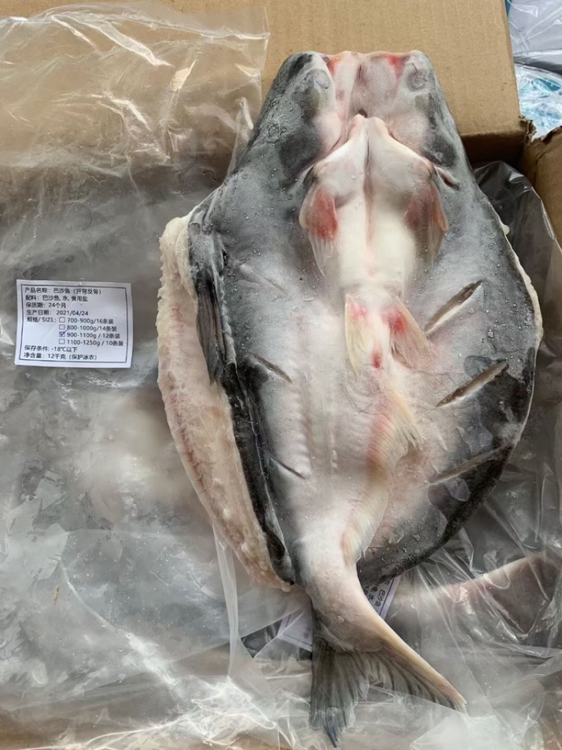 越南进口开背巴沙鱼，全规格现货