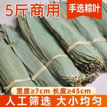 粽叶整捆5斤手选大统货包粽叶烘干大粽子端午叶新鲜宽箬叶