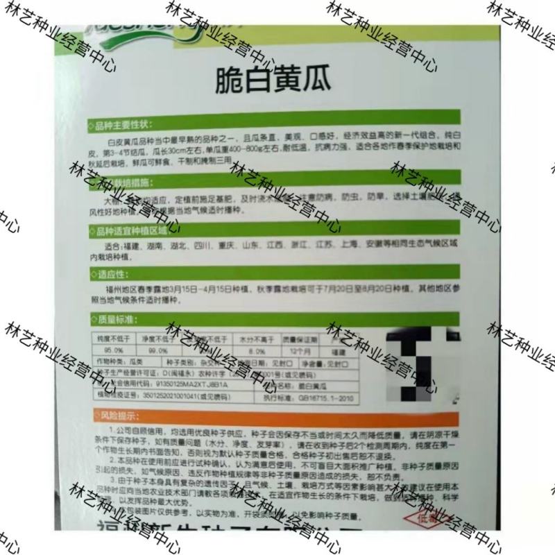 白皮黄瓜种子奶油黄瓜种子白皮水果黄瓜籽口感爽口甜脆黄瓜