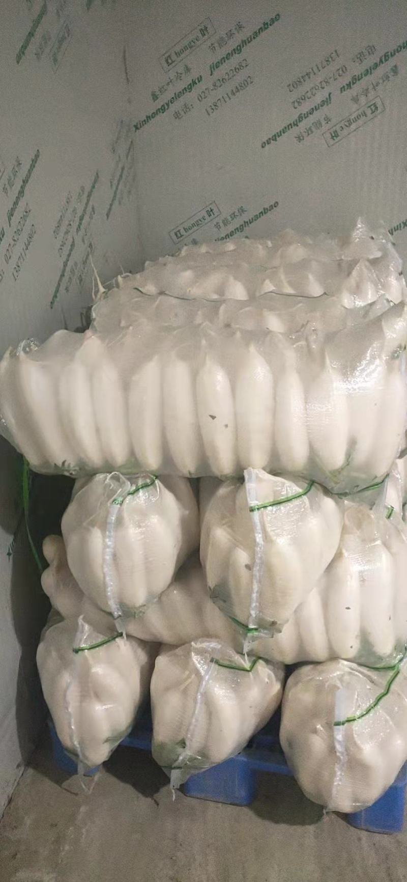 湖北白萝卜大量供应，保值保量，货源充足，随行就市
