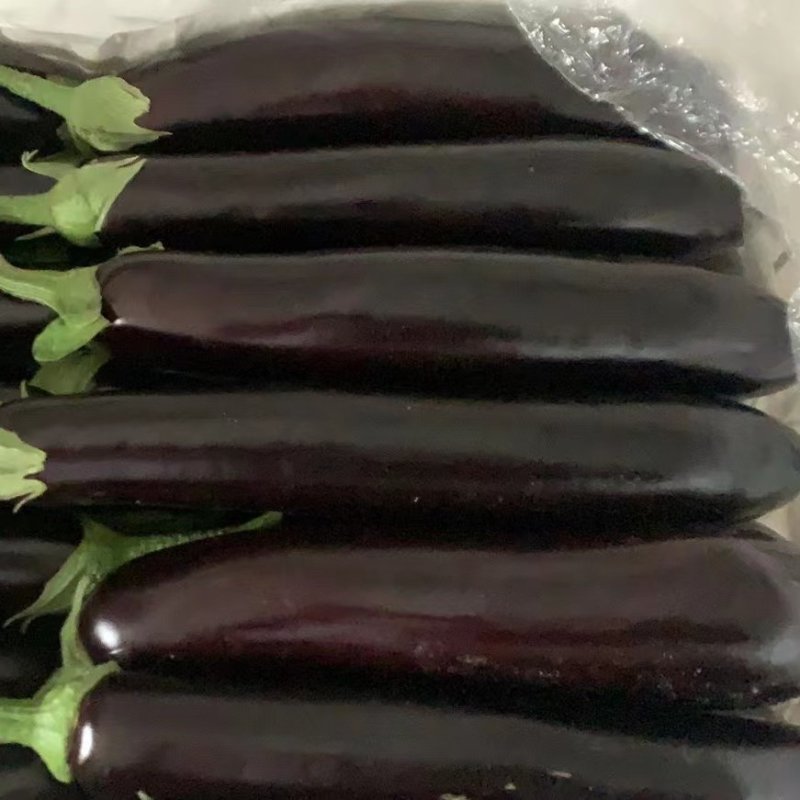 【茄子】精品冠红长茄现摘现发品质保证全国发货