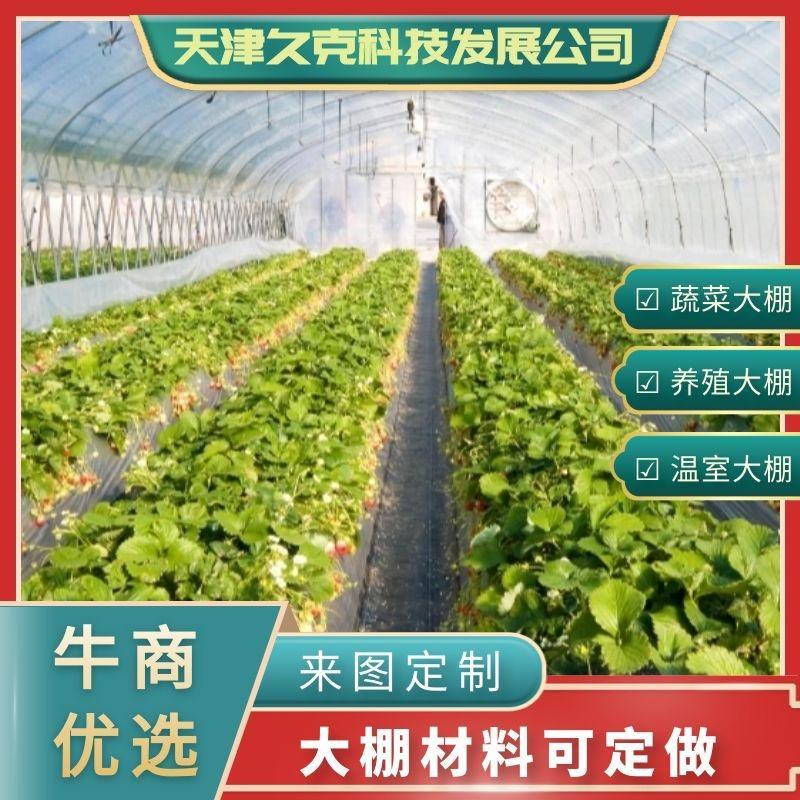 蔬菜大棚种植大棚大棚骨架规格齐全厂家直销