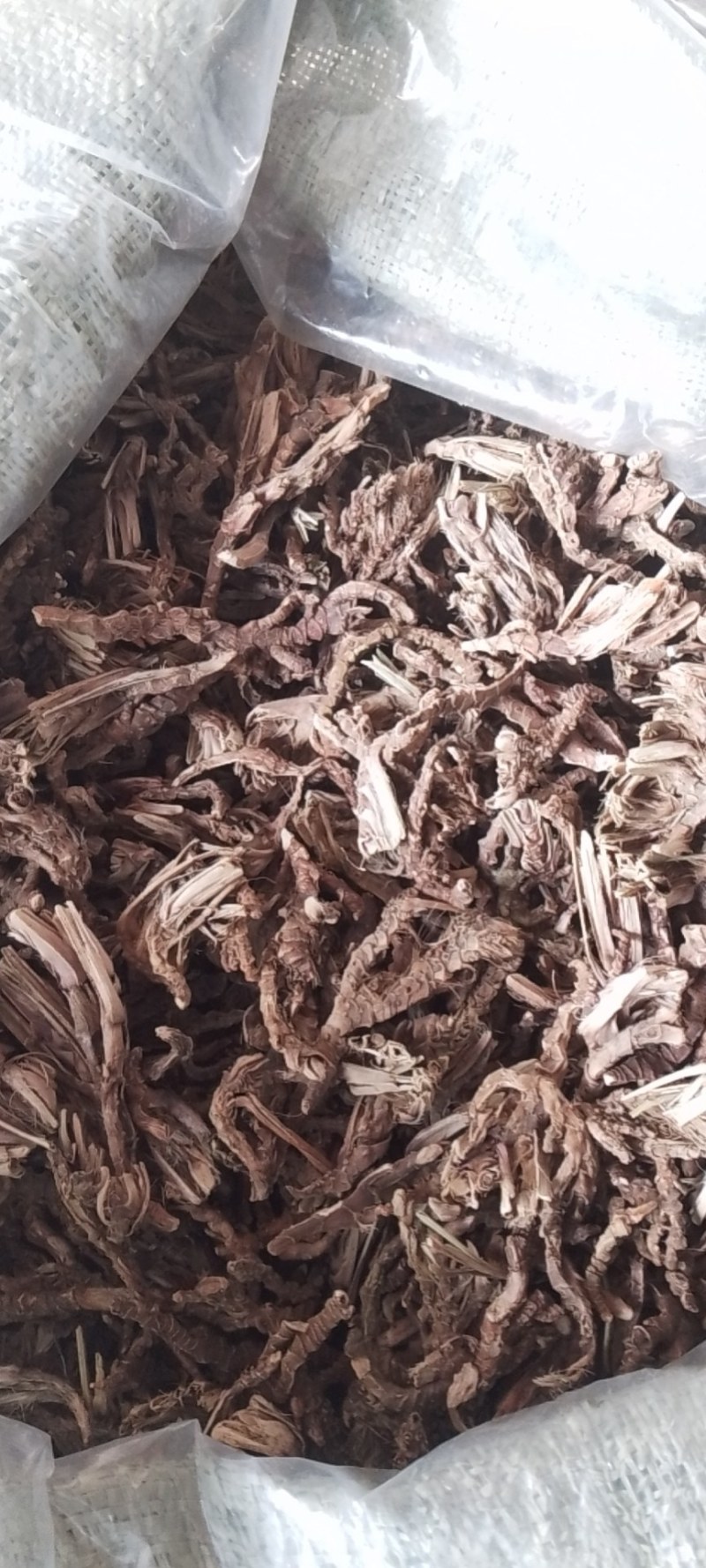 福建石菖蒲过滾桶去毛须干货
