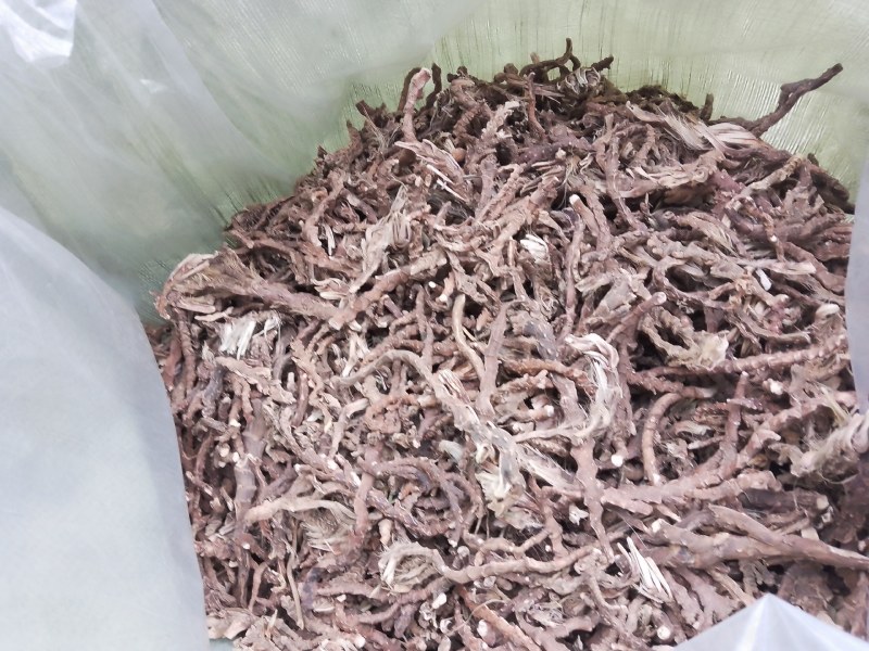 福建石菖蒲过滾桶去毛须干货