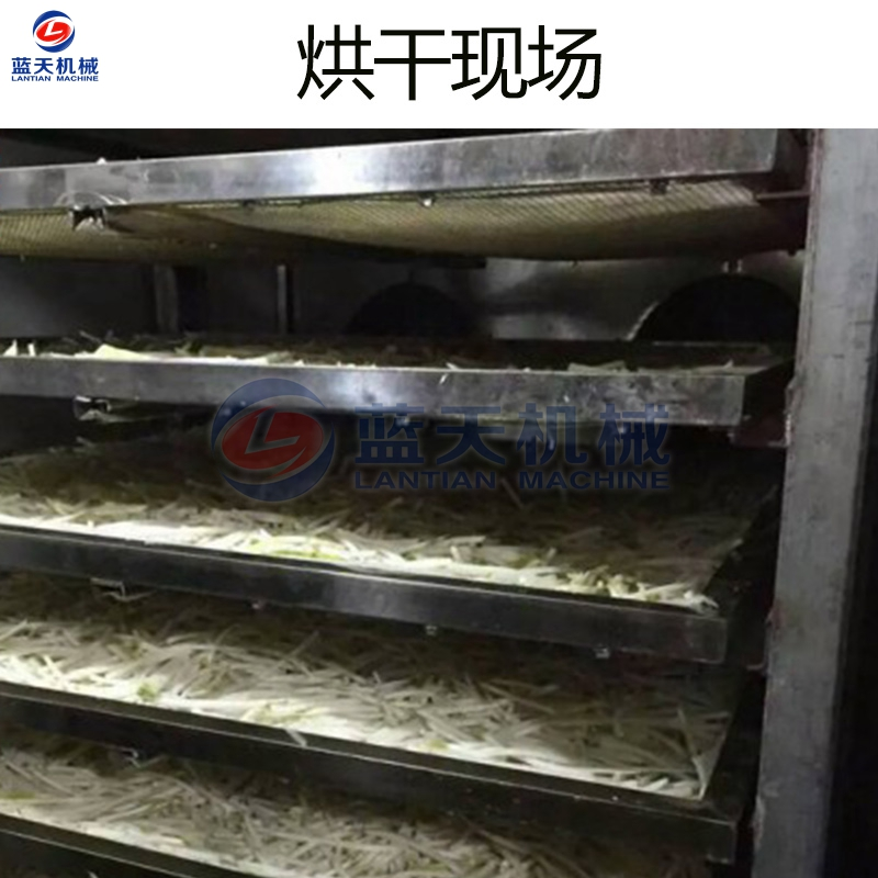 马齿苋烘干机山野菜蕨菜婆婆丁蔬菜烘干箱芥菜灰灰菜干燥