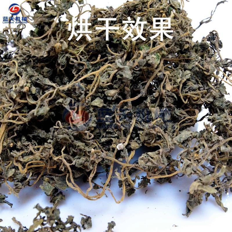 马齿苋烘干机山野菜蕨菜婆婆丁蔬菜烘干箱芥菜灰灰菜干燥