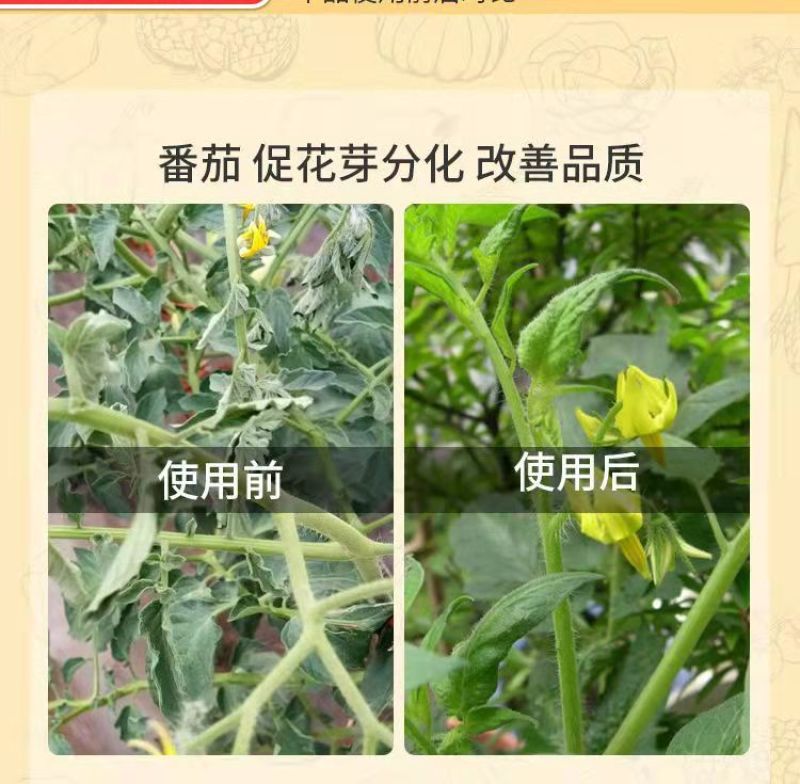 5%苄氨基嘌呤催芽分化保花保果细胞分裂素叶面肥生长调节剂