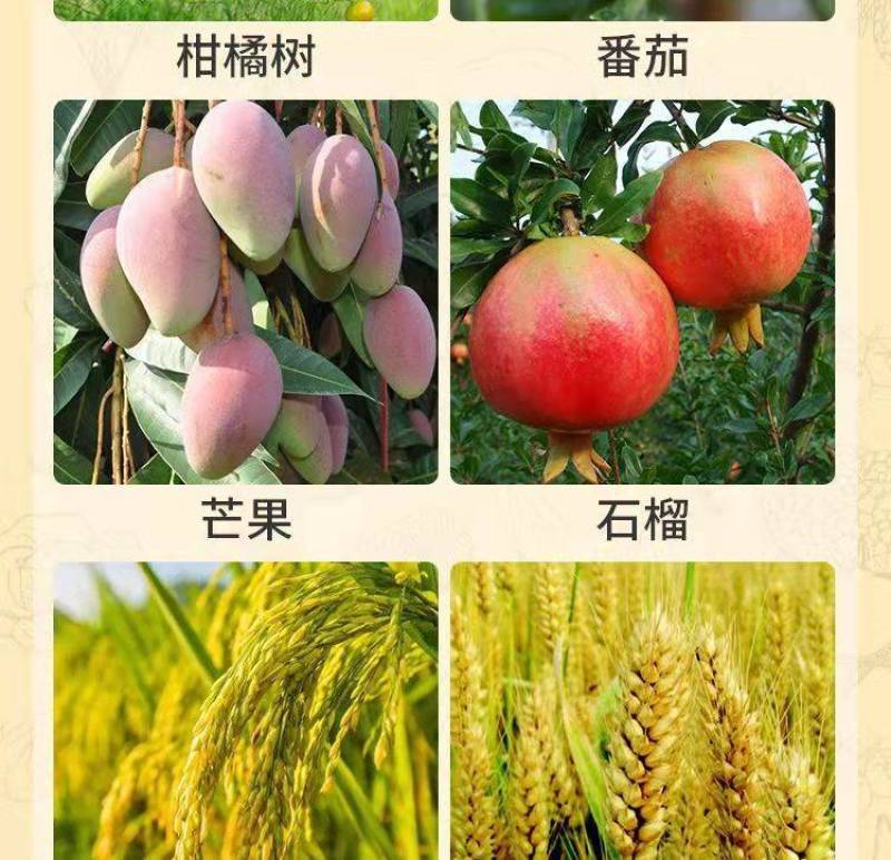 5%苄氨基嘌呤催花芽保花保果膨果细胞分裂素植物生长调节剂
