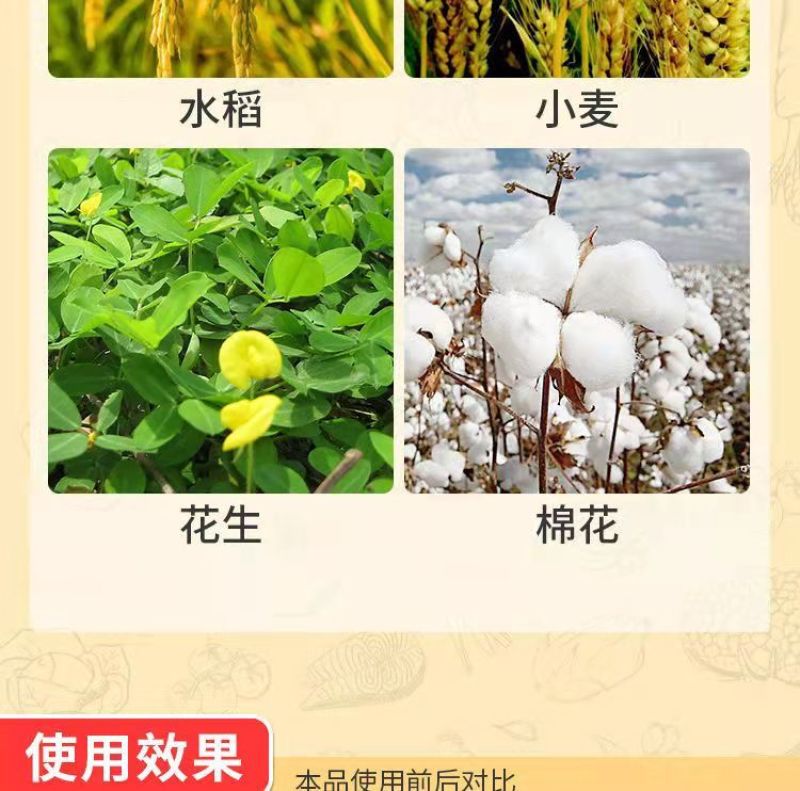 5%苄氨基嘌呤催花芽保花保果膨果细胞分裂素植物生长调节剂