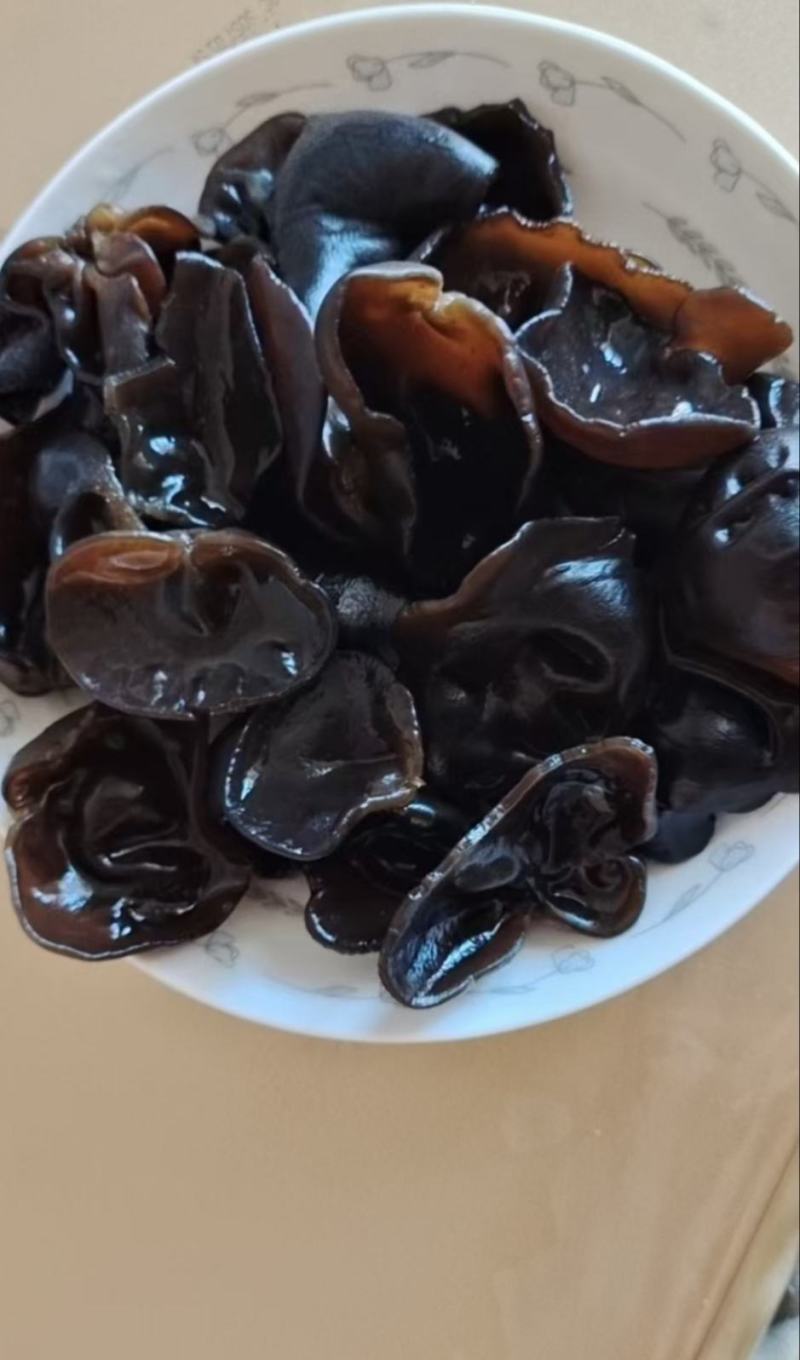 精品黑木耳秋木耳东北特产欢迎大家光临