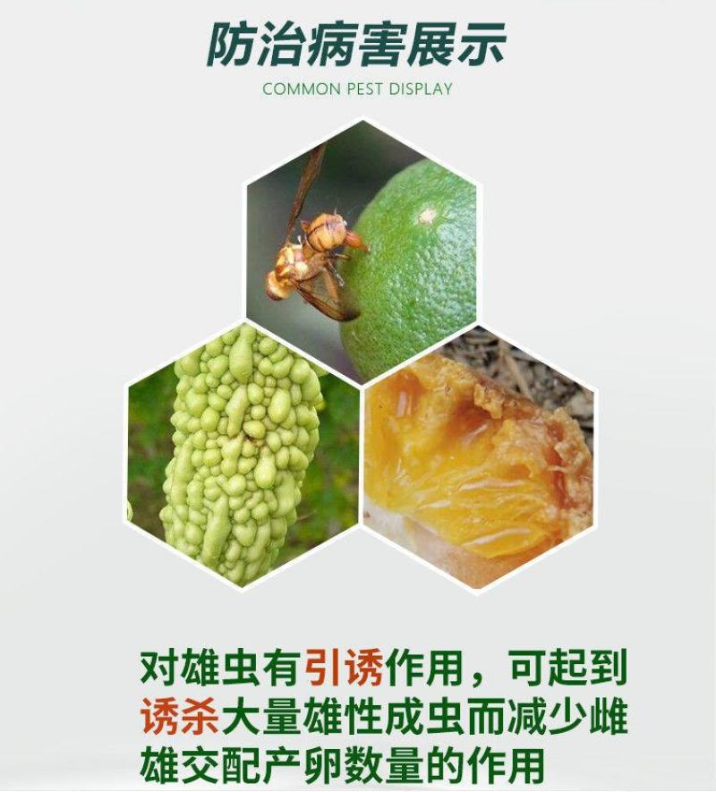 针锋药氯氟氰菊酯柑橘果树苦瓜果实蝇瓜蝇针蜂专用杀虫剂