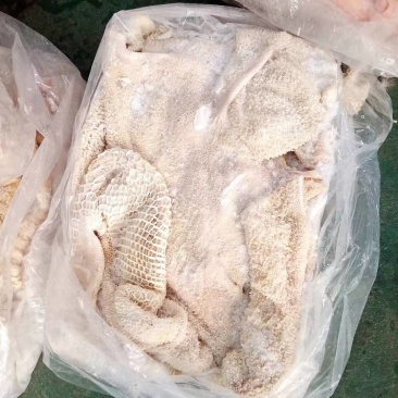 正宗正品国产黄牛清真牛肚水煮水腿厂家直销质量保证货真价实