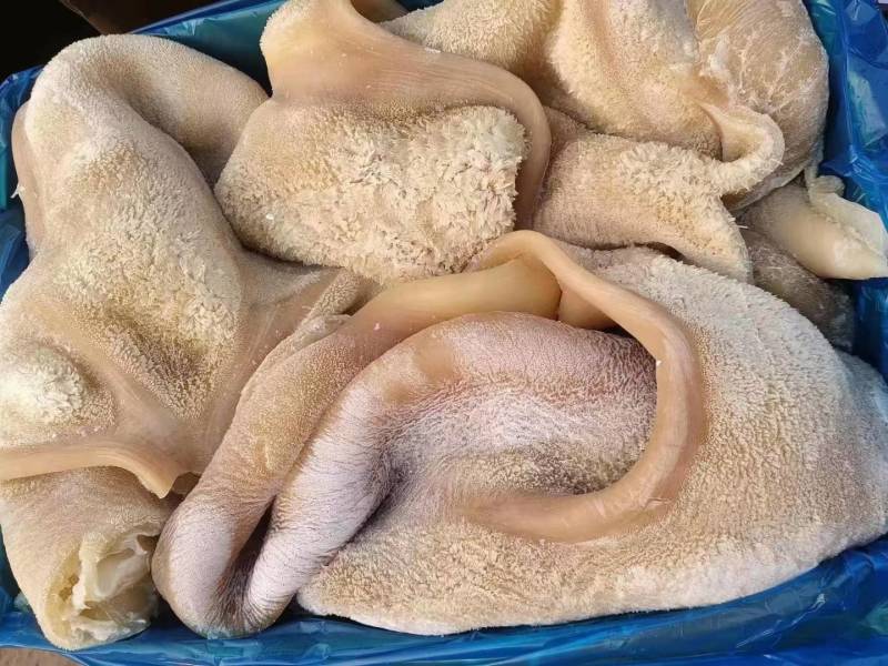 正宗正品国产黄牛清真牛肚水煮水腿厂家直销质量保证货真价实