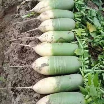 大量供应以上货源充足。
