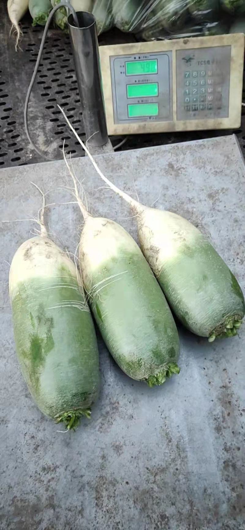 大量供应以上货源充足。