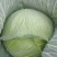 大量供应以上货源充足。