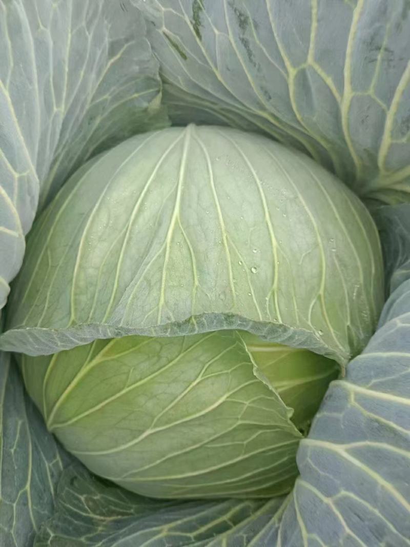 大量供应以上货源充足。