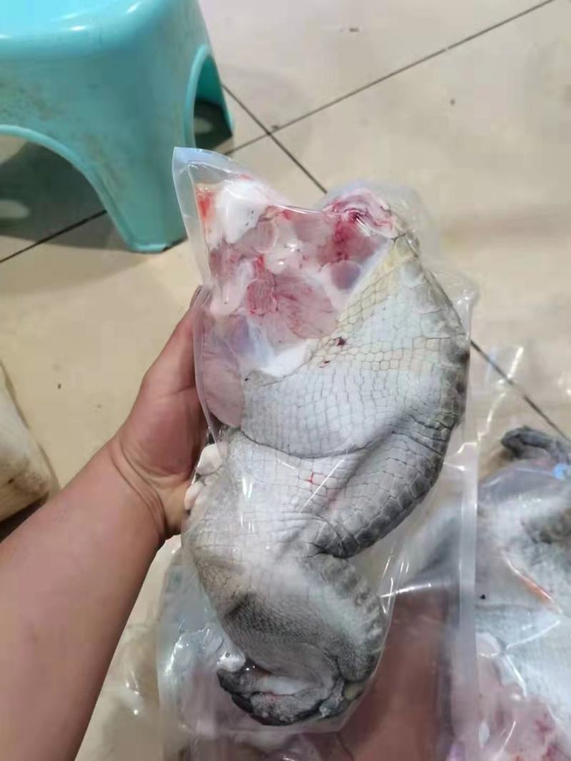 大量批发鳄鱼肉，支持全国发货，量大从优，保鲜速冻真空包装