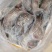 大量批发鳄鱼肉，支持全国发货，量大从优，保鲜速冻真空包装