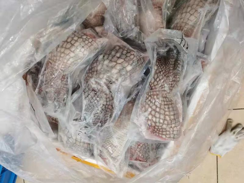 大量批发鳄鱼肉，支持全国发货，量大从优，保鲜速冻真空包装