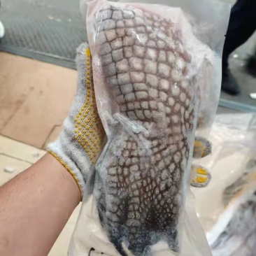 大量批发鳄鱼肉，支持全国发货，量大从优，保鲜速冻真空包装
