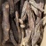 精选肉苁蓉，产地直发，无中间商，量大从优