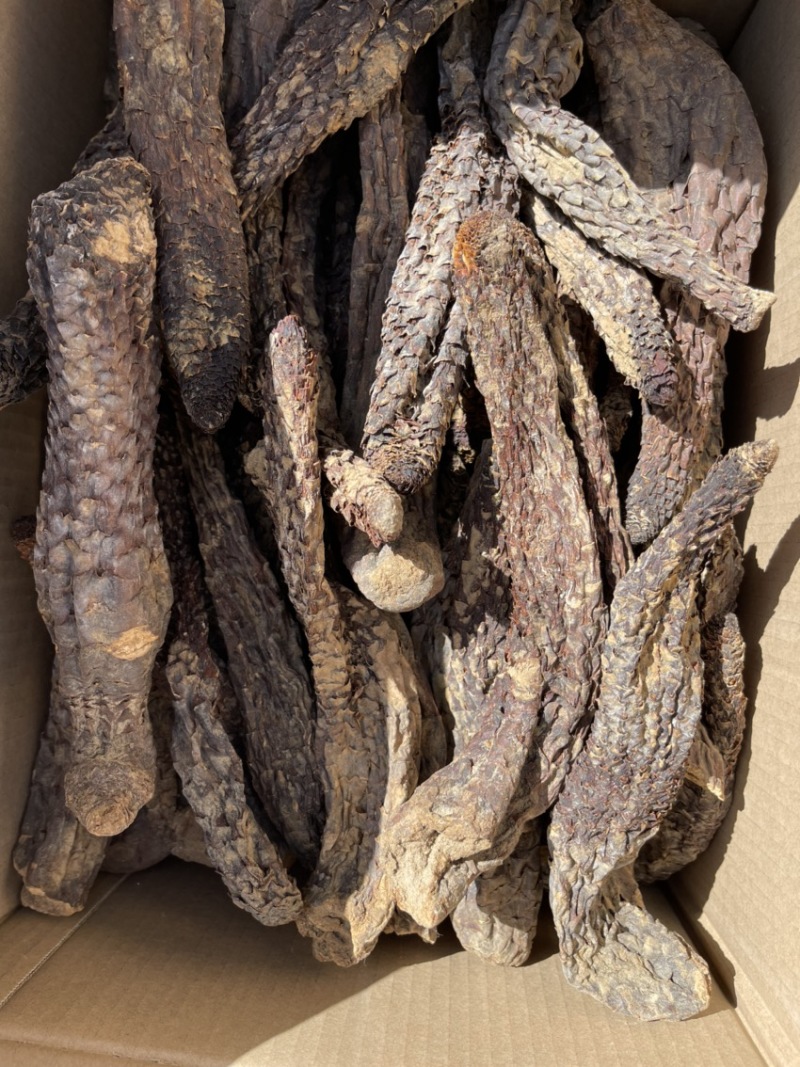 精选肉苁蓉，产地直发，无中间商，量大从优