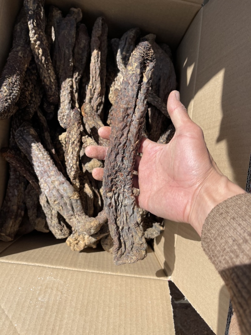 精选肉苁蓉，产地直发，无中间商，量大从优