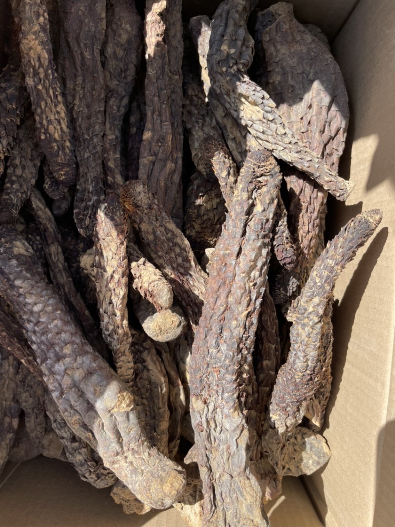 精选肉苁蓉，产地直发，无中间商，量大从优