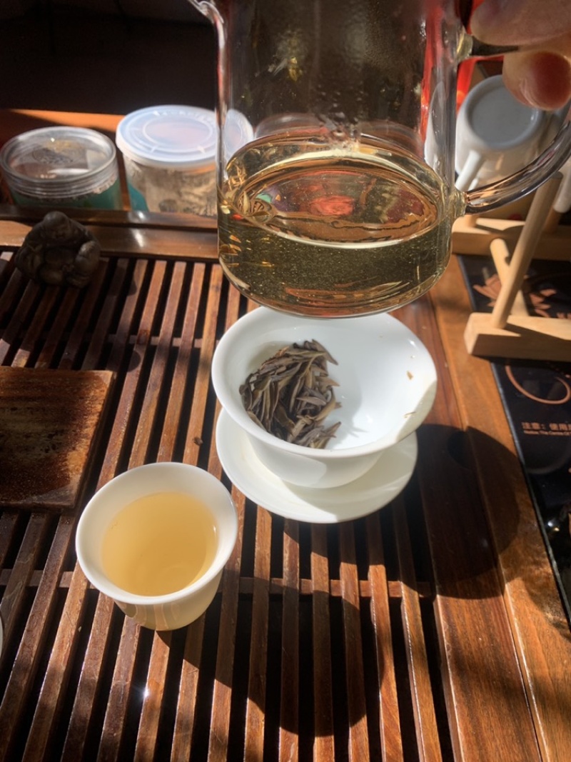白毫银针老银针米芽回味浓郁清甜非常不错的一款银针