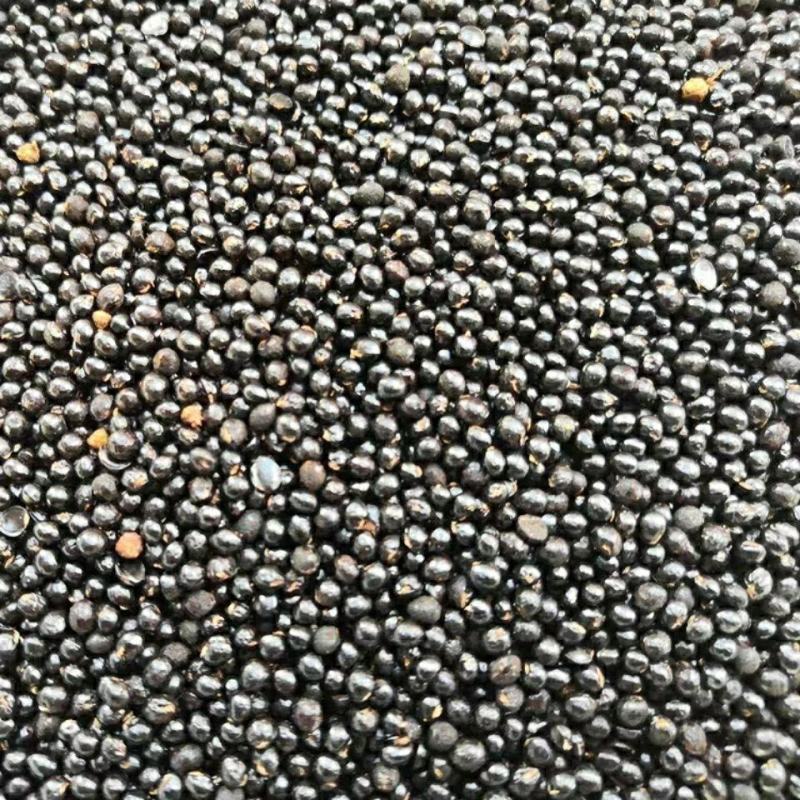 云南野生中药材椒目，优质正品，500g起发