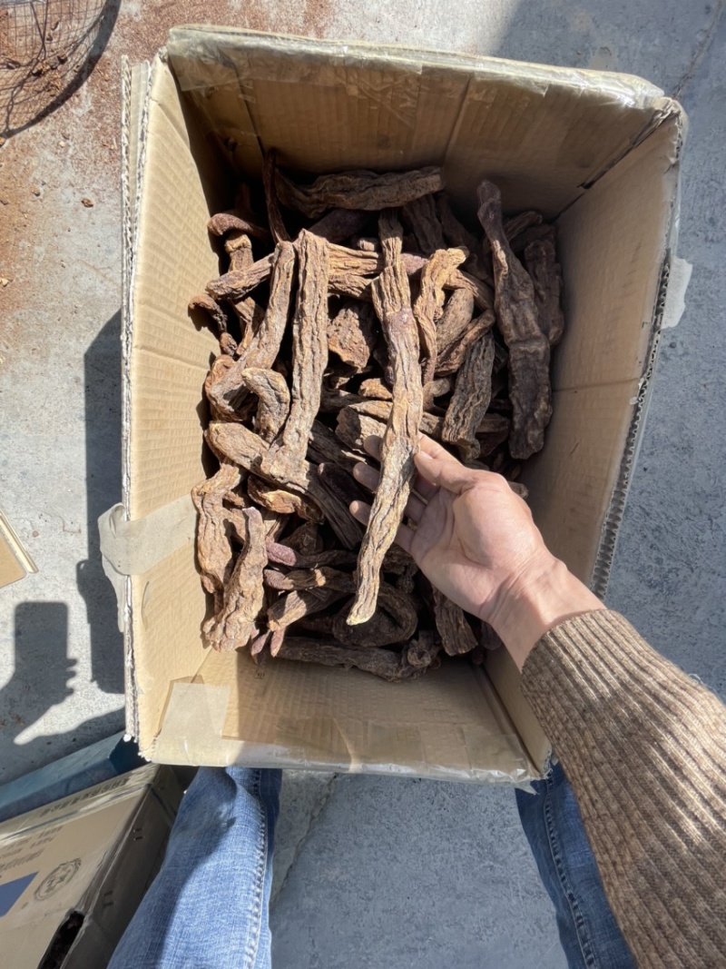 青海柴达木盆地，精选长条锁阳，精品冬锁阳，产地直发