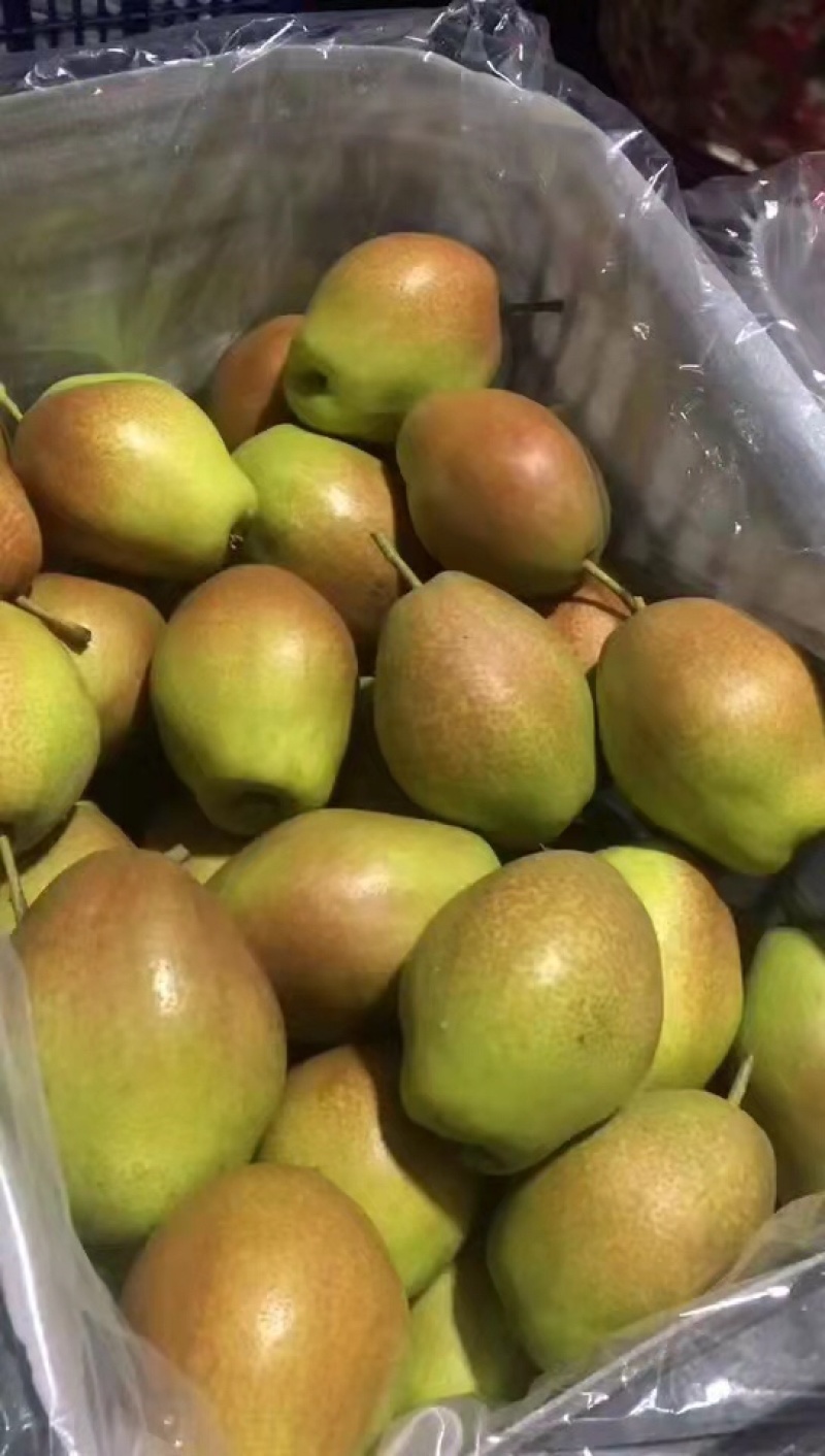 精加工红香酥货源充足