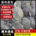 网红麻辣甲鱼半斤到一斤规格，量大从优，养殖基地直发