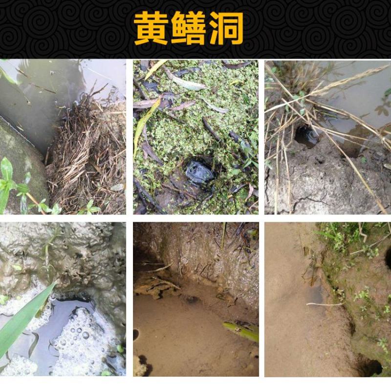 黄鳝钓具黄鳝钩有倒刺钓黄鳝钩引钩引条高岸钓黄鳝钩黄鳝勾鳝