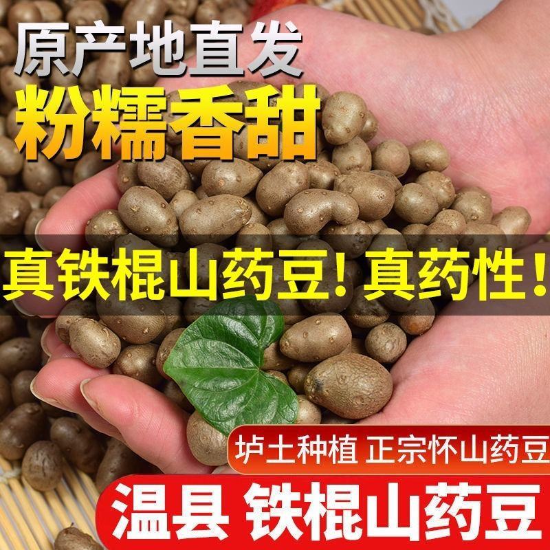 【正宗铁棍山药豆】新鲜采摘河南焦作温县怀山药蛋豆糖葫芦蛋