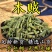 云南野生中药材木贼，优质正品，500g起发