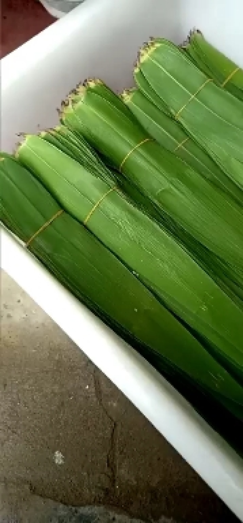 苇叶