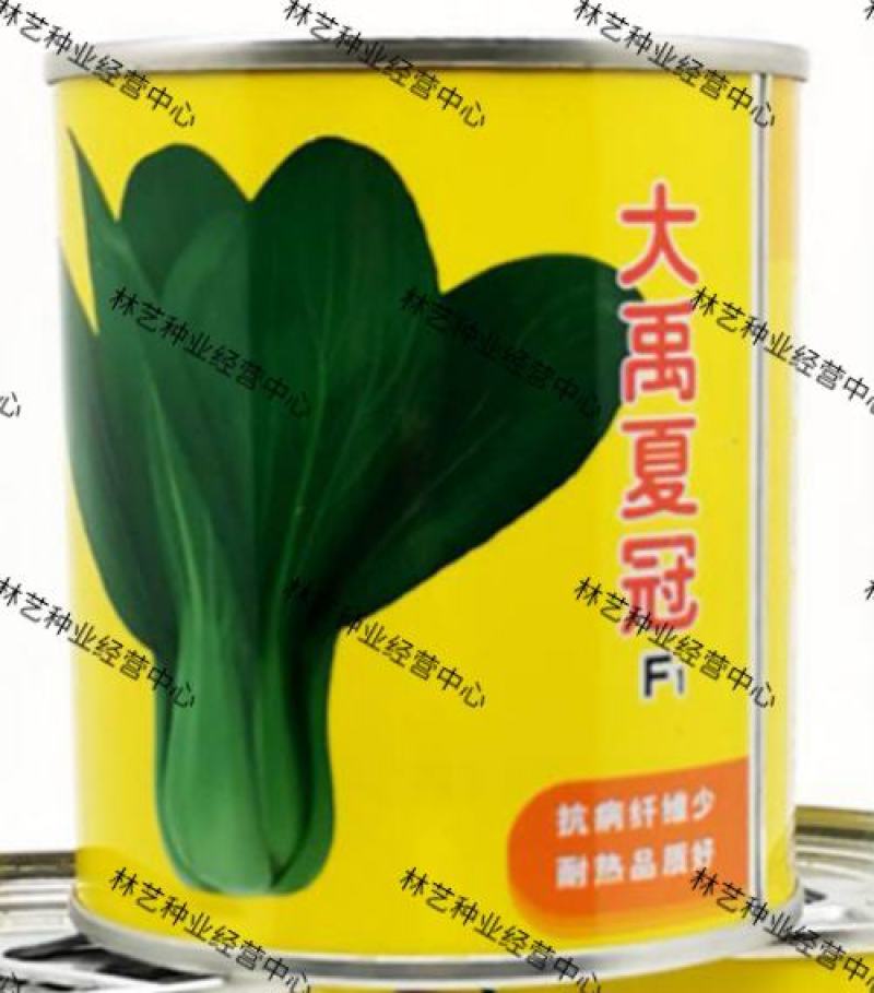 青梗菜种子夏冠秋季早熟油菜青菜种籽小白菜苗日本四季矮脚菜