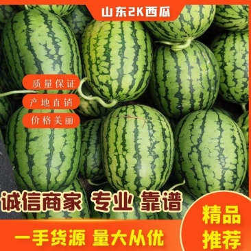 山东维坊精品2K西瓜大量上市真诚欢迎老板前来合作共采购
