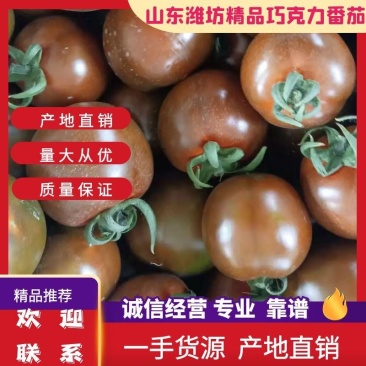 巧克力西红柿出口俄罗斯，现内销，产地山东省潍坊市