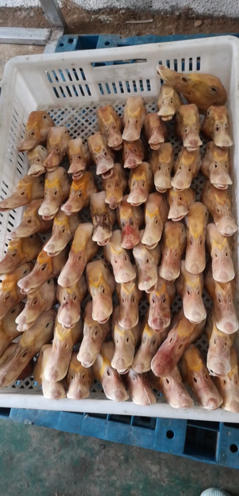 山东潍坊临朐县的鸭头，带鸭舌，需要的联系