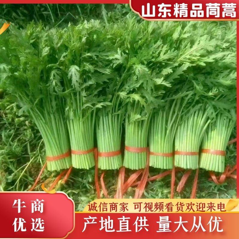 山东维坊精品筒篙，规格齐全产地直销量大从优欢迎联系