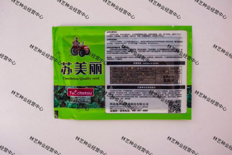 苏美丽上海青菜种籽种孑青梗菜种子秋冬季小青菜高产耐热南方