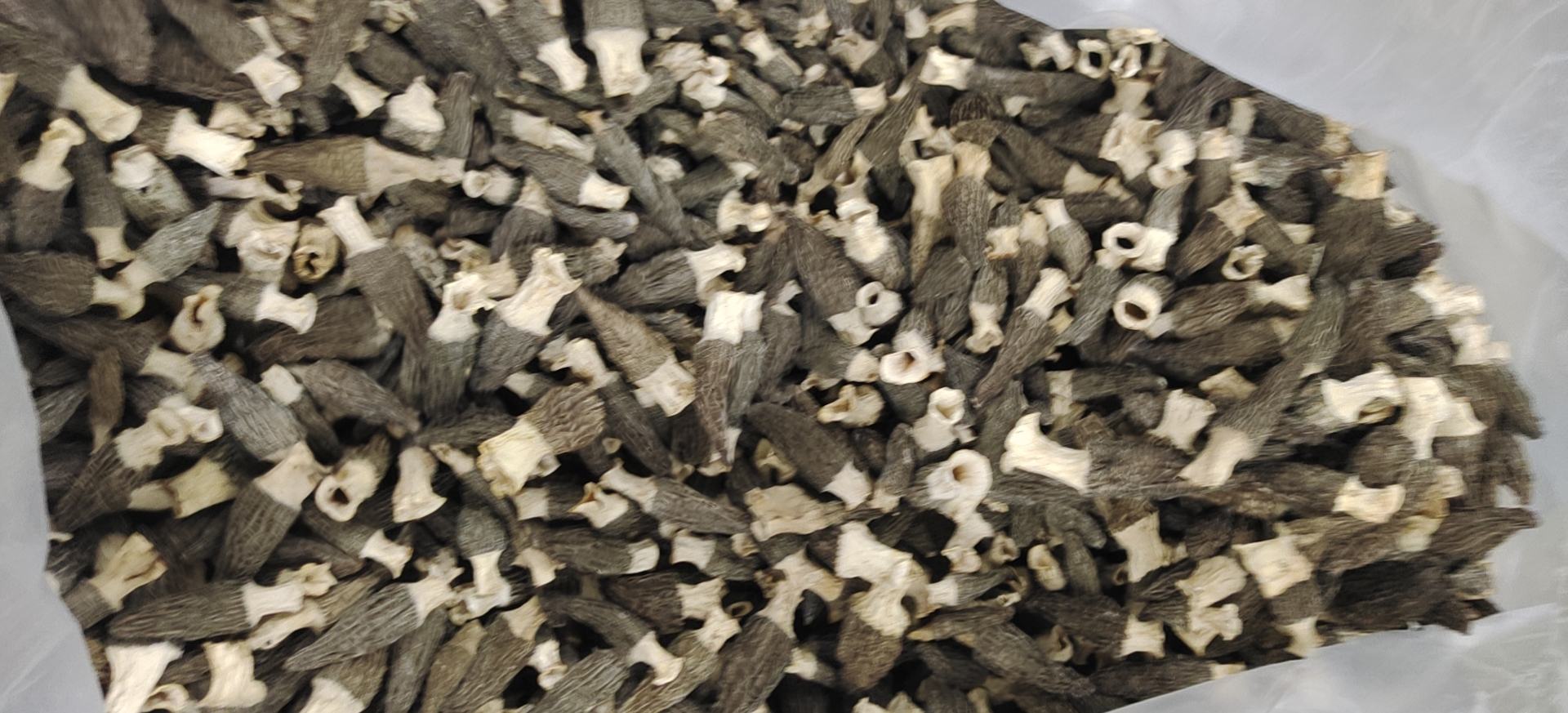 新鲜与霉变羊肚菌对比图