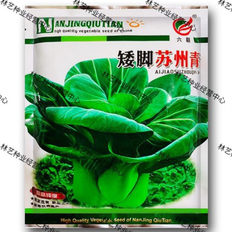 矮脚苏州青小油菜种子青菜籽上海青蔬菜籽四季冬季种植盆栽