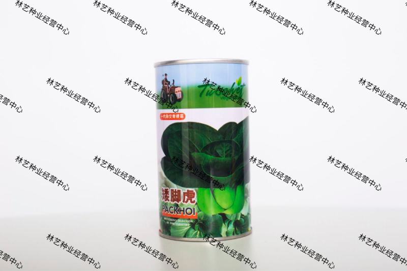 矮脚虎青梗菜种子耐热小油菜种子叶菜蔬菜生长期短快速采