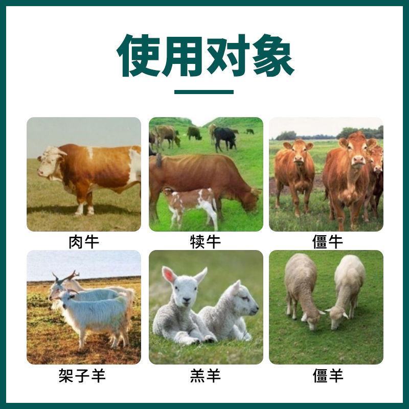 犊牛快长牛羊拉骨架饲料添加剂兽用牛羊拉骨生长王小牛犊拉骨