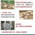 犊牛快长牛羊拉骨架饲料添加剂兽用牛羊拉骨生长王小牛犊拉骨